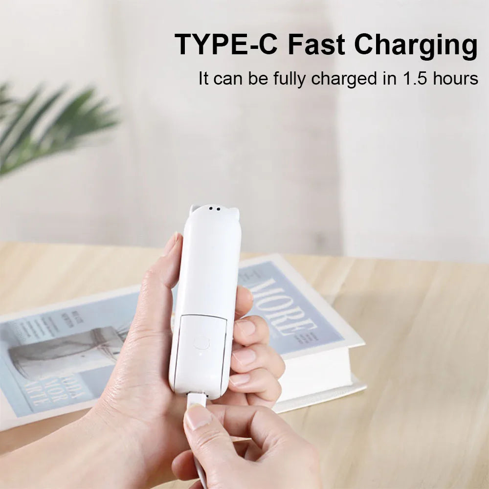 Portable Mini Handheld Fan (doubles as a power bank)